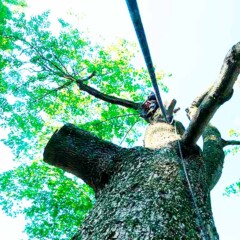 ПРОМЫШЛЕННЫЙ АЛЬПИНИЗМ