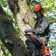 ПРОМЫШЛЕННЫЙ АЛЬПИНИЗМ