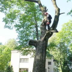 ПРОМЫШЛЕННЫЙ АЛЬПИНИЗМ