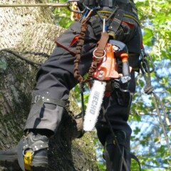 ПРОМЫШЛЕННЫЙ АЛЬПИНИЗМ