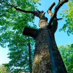 ПРОМЫШЛЕННЫЙ АЛЬПИНИЗМ